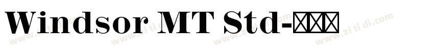 Windsor MT Std字体转换